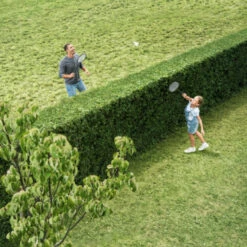 Bosch 18V Heggenschaar AHS 50-20 Li 50cm -Makitar Winkel 123 2557