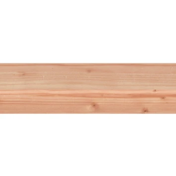 Tuinpaal Douglas Ca. 6,5x6,5 Cm, Lengte Ca. 180 Cm 4 Tuinpaal Douglas Ca. 6,5x6,5 Cm, Lengte Ca. 180 Cm - Afbeelding 2