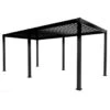 Pergola Classic Zwart 3x6m 2 Pergola Classic Zwart 3x6m -Makitar Winkel 123 4053
