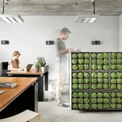 Muurhanger Verticaal Tuinieren -Makitar Winkel 123 4487