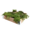 Moestuinbak Douglas 100x100cm  -Makitar Winkel 123 4536
