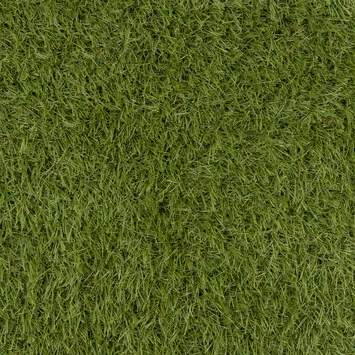 Kunstgras Select 200x300 Cm 4 Kunstgras Select 200x300 Cm - Afbeelding 2