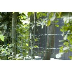 Betafence Pantanet Tuingaas Family 183 Cmx25 M Groen 13 Betafence Pantanet Tuingaas Family 183 Cmx25 M Groen -Makitar Winkel 123 943
